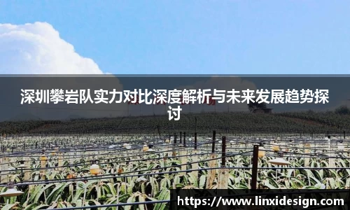深圳攀岩队实力对比深度解析与未来发展趋势探讨