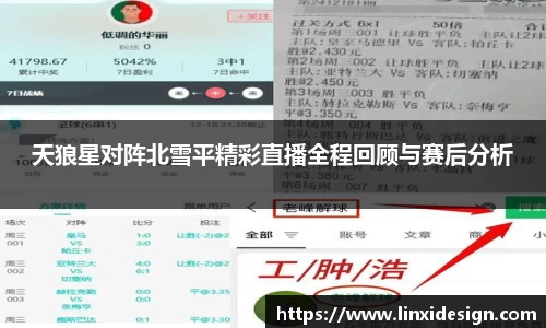 天狼星对阵北雪平精彩直播全程回顾与赛后分析