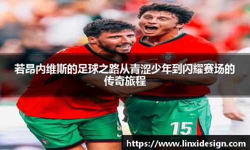 若昂内维斯的足球之路从青涩少年到闪耀赛场的传奇旅程